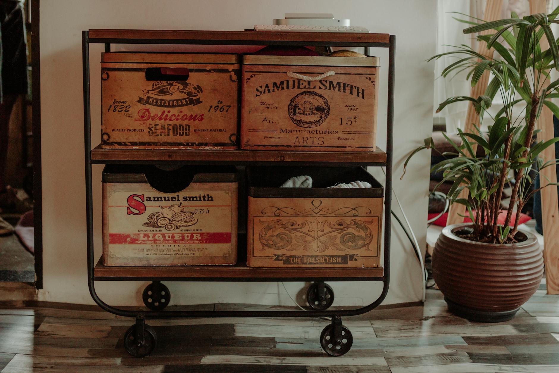 A stylish industrial cart with vintage wooden boxes next to a potted plant indoors.