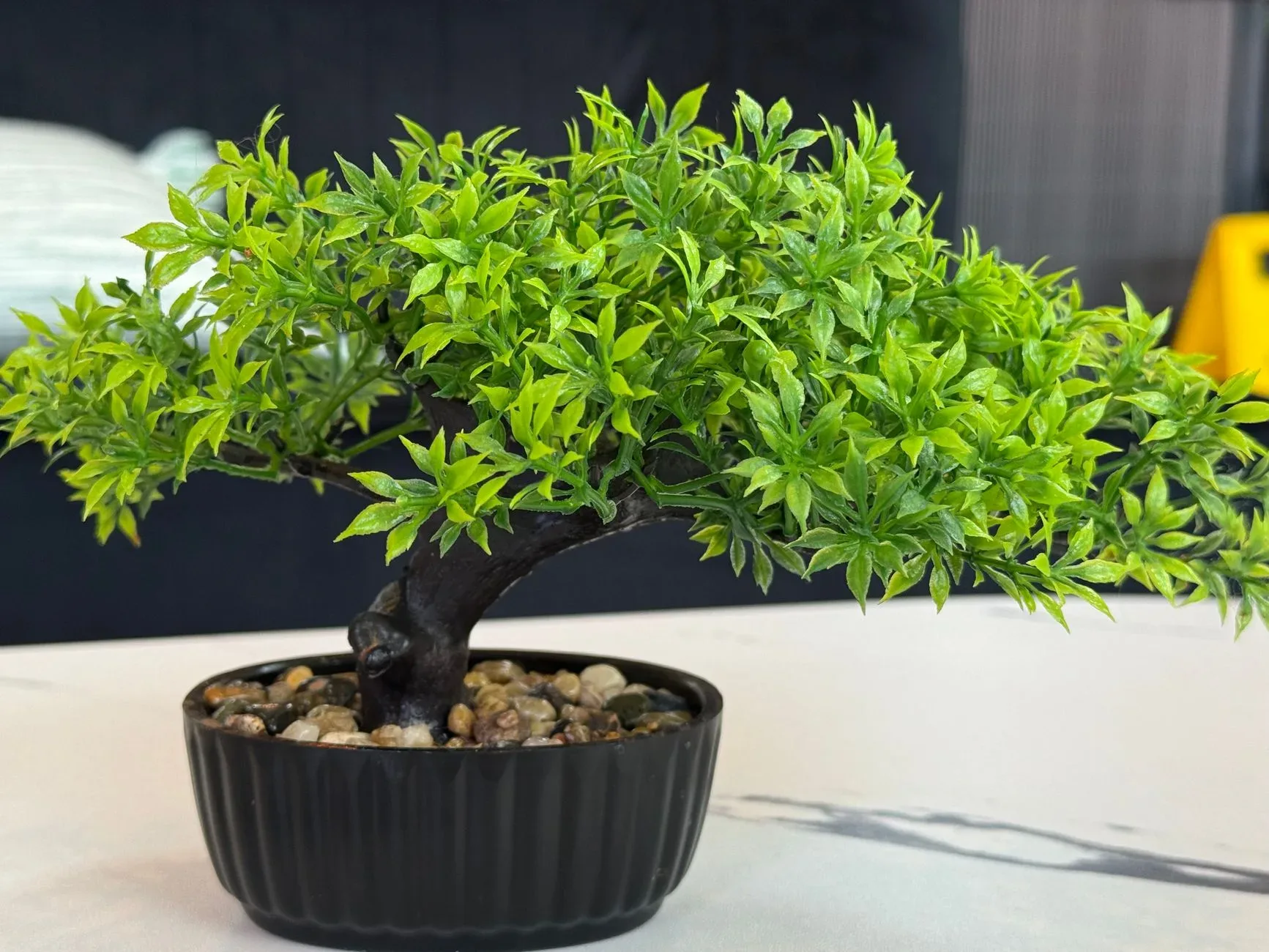 Close-up of a lush green bonsai tree in a black pot with pebbles on a modern indoor surface.
