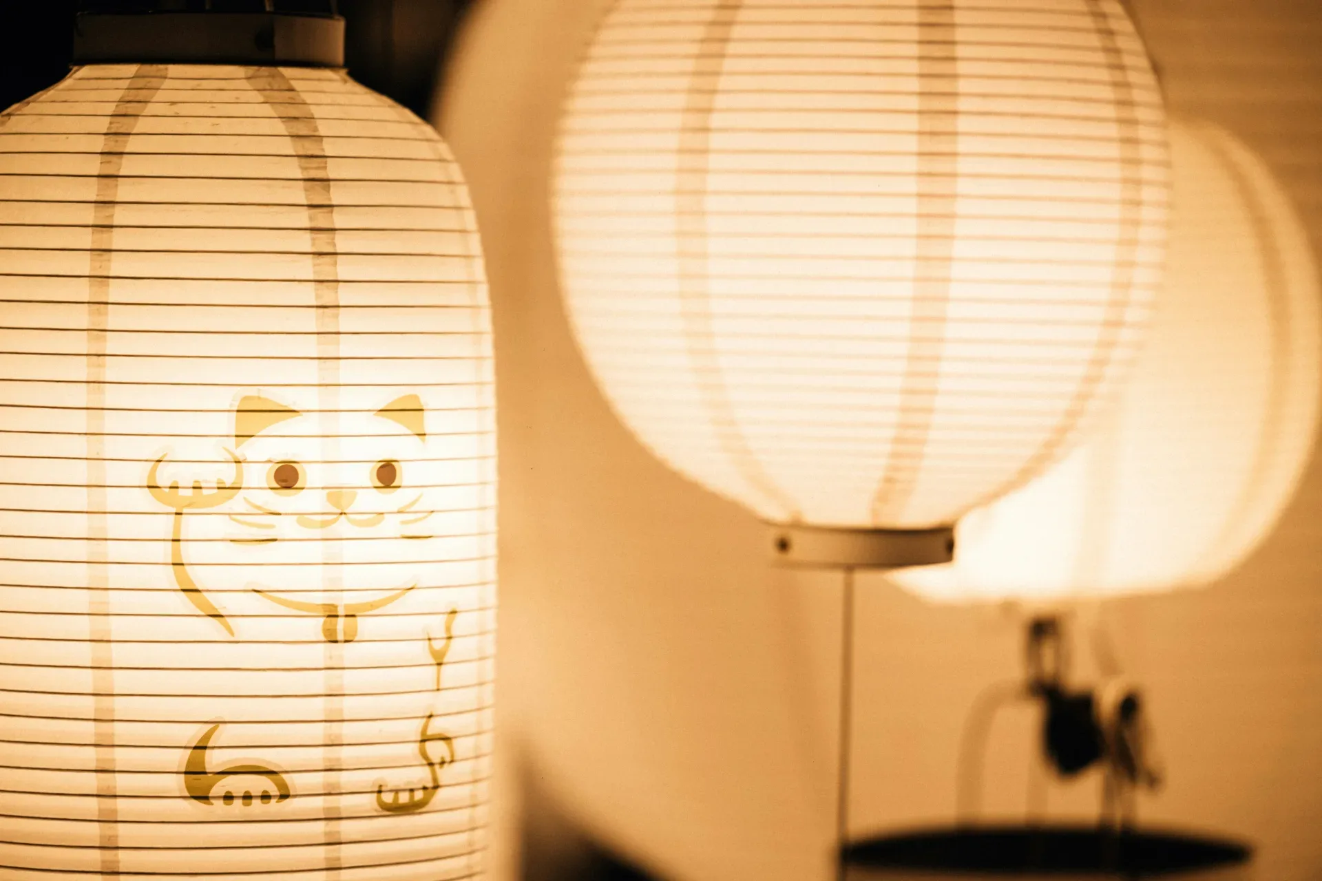 Japanese lanterns with a cat design