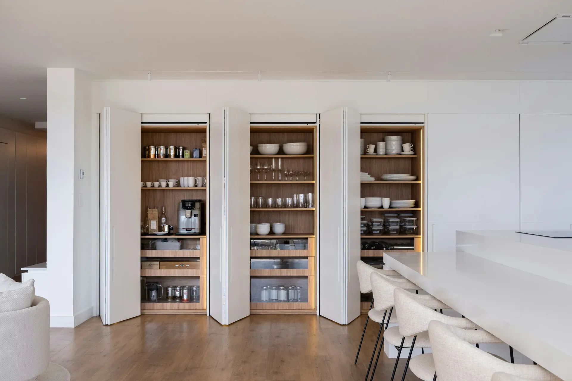 Modern kitchen pantry with organized shelves and appliances.