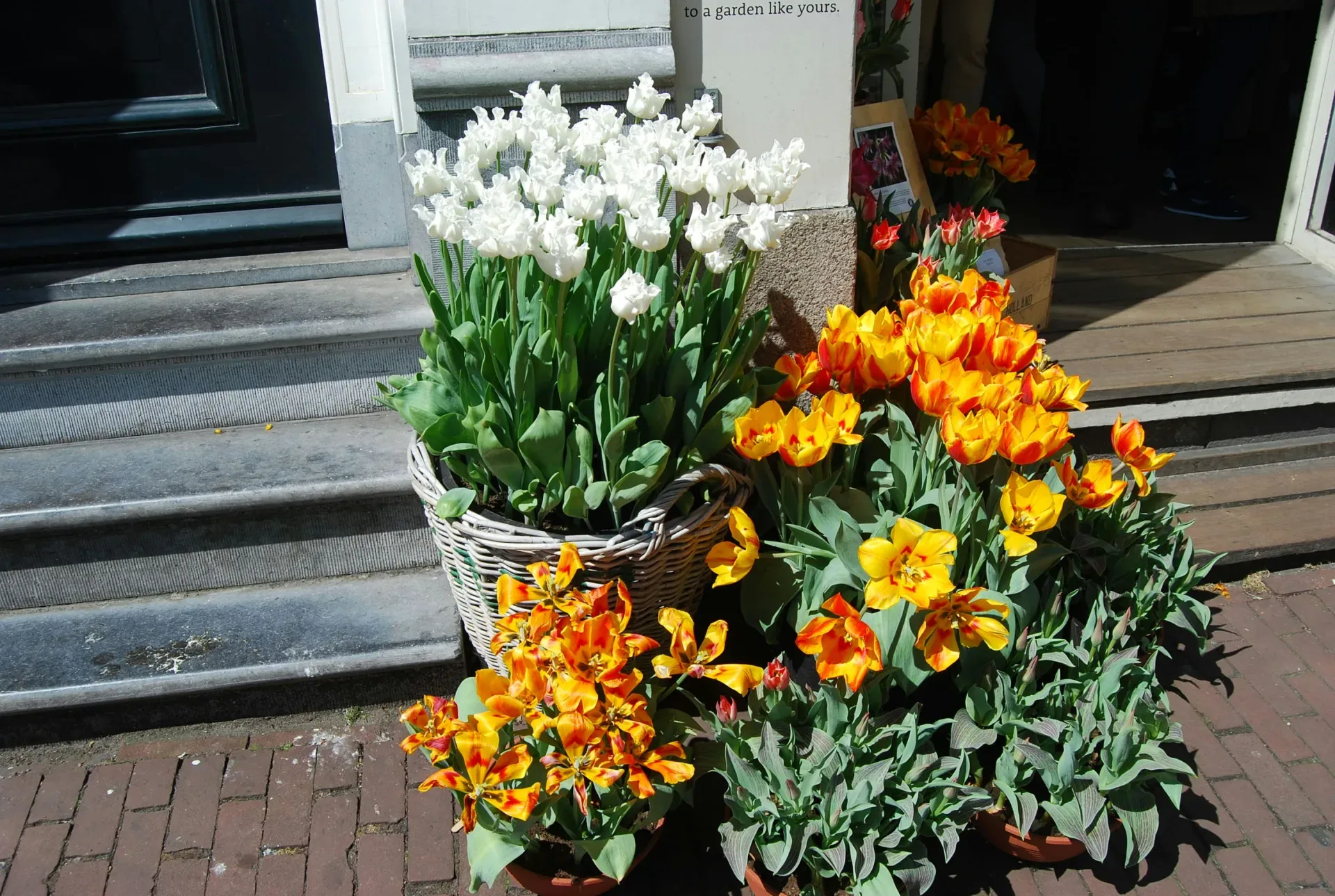 Vibrant flowers in baskets decorate an outdoor space.