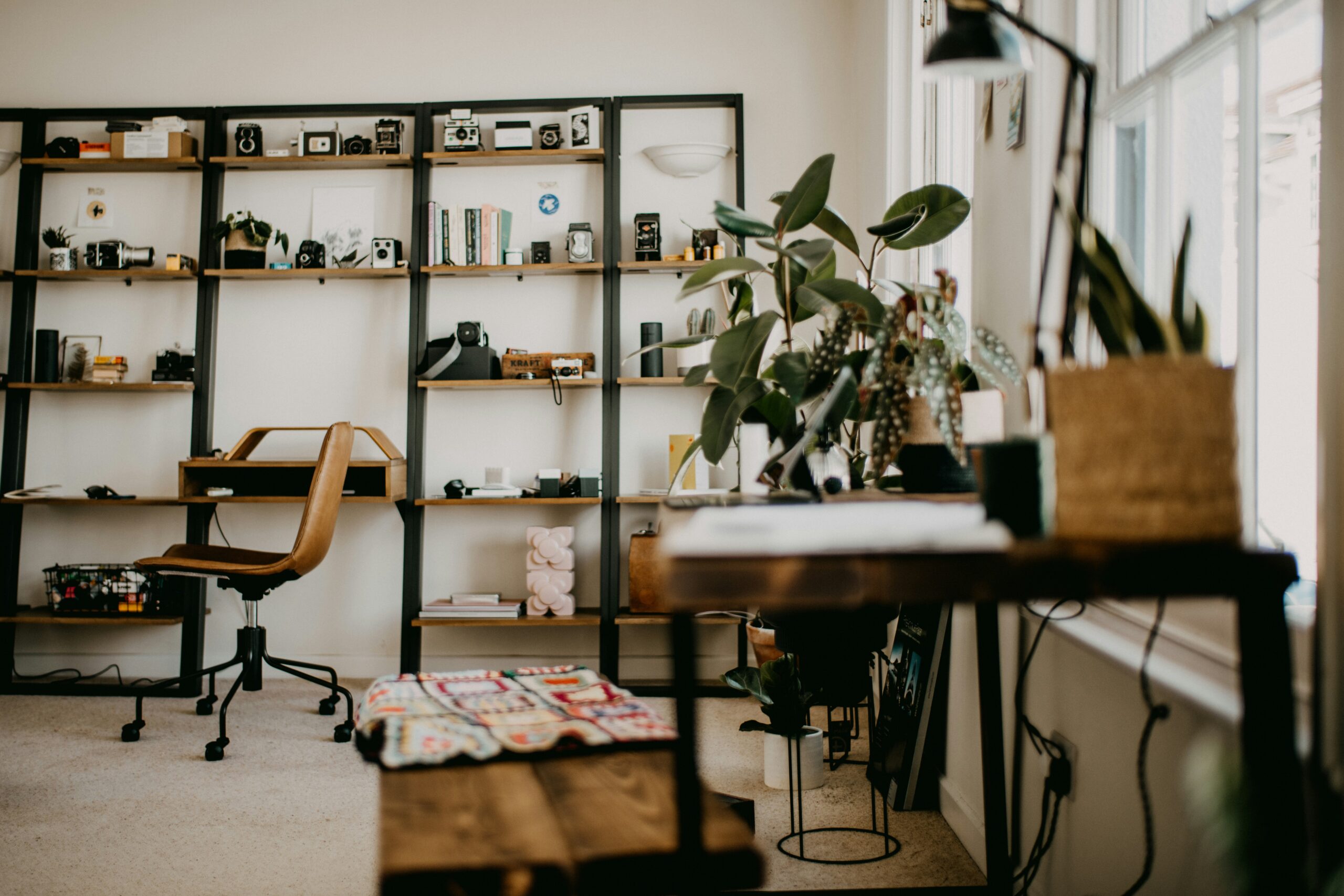 a room with a desk, chair, shelves and a potted plant