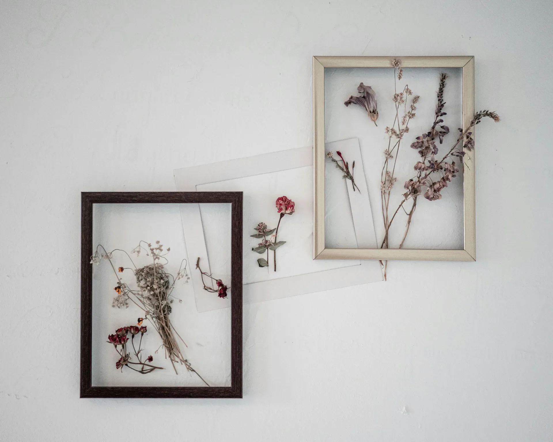 brown and white flower painting